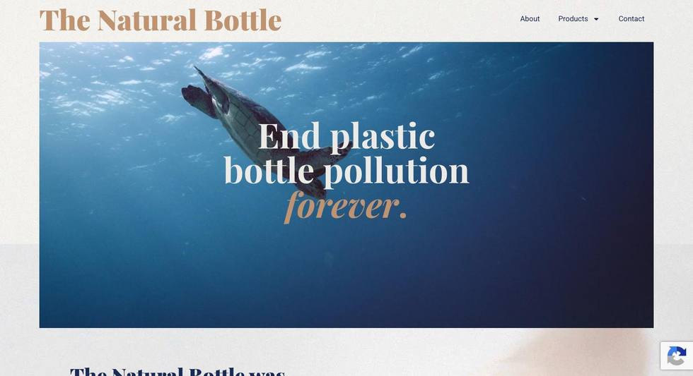 The Natural Bottle website — live build